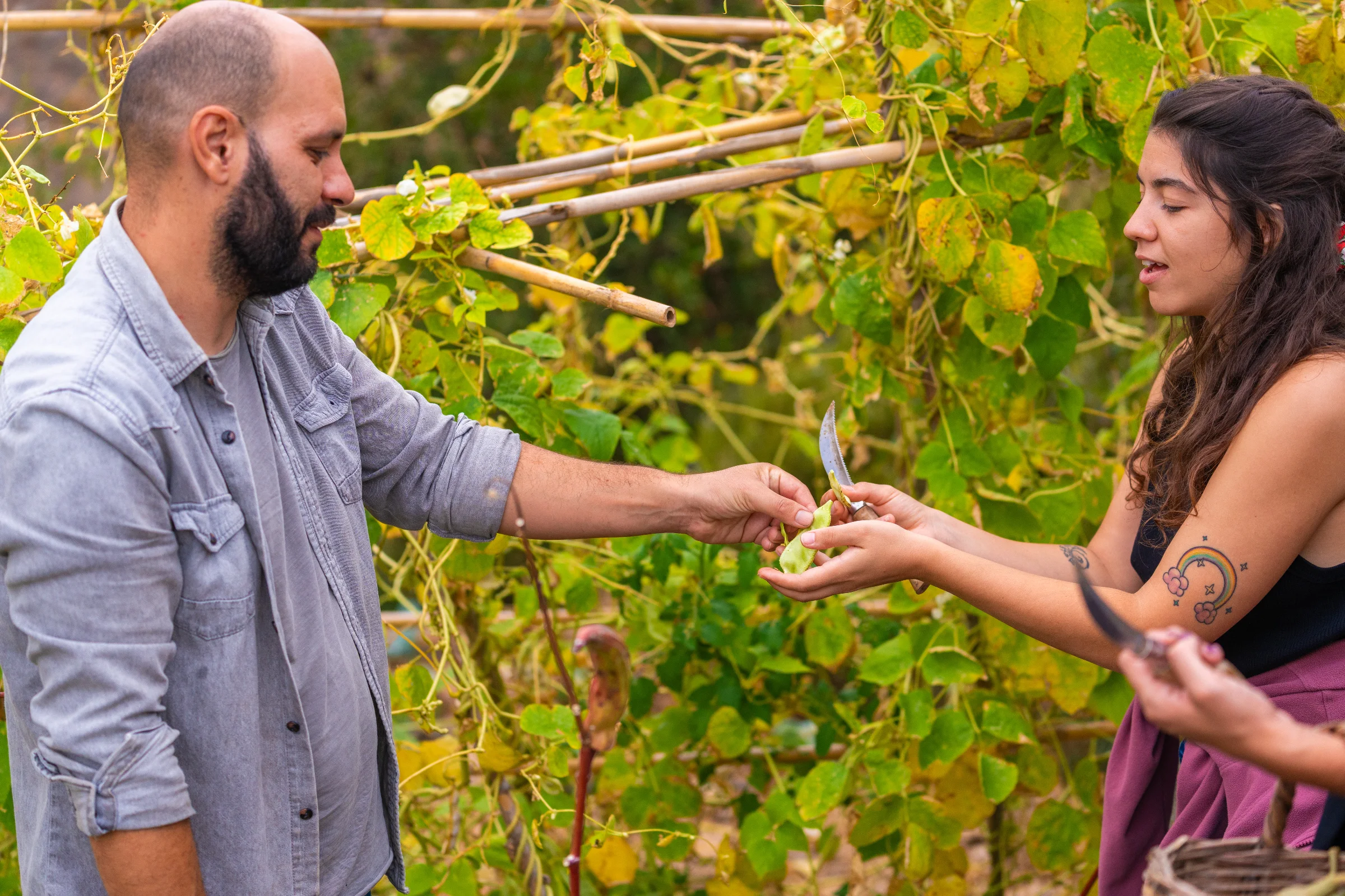 Farm-to-Table Experiences in Crete: Eat Where the Food Is Grown