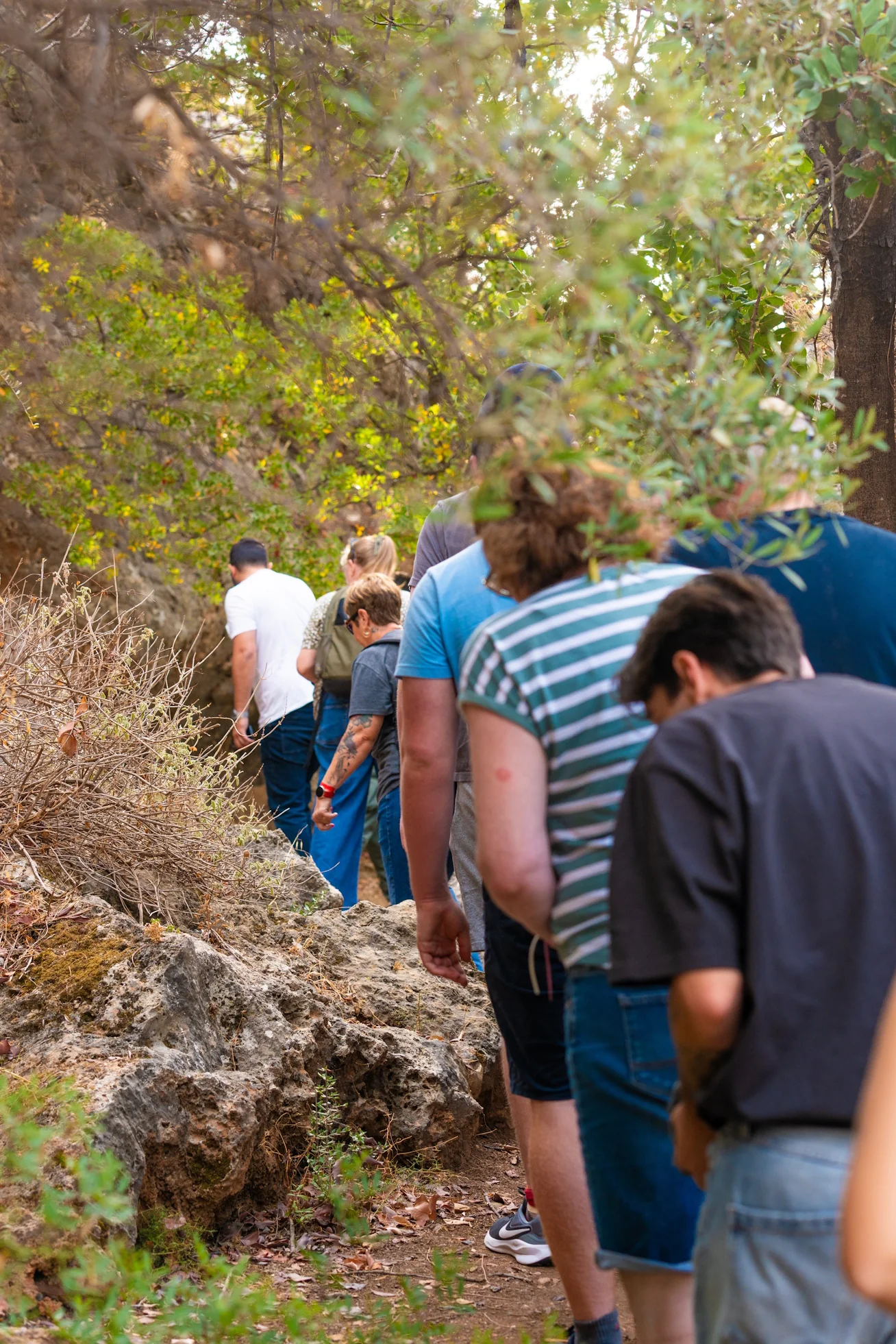 Hiking