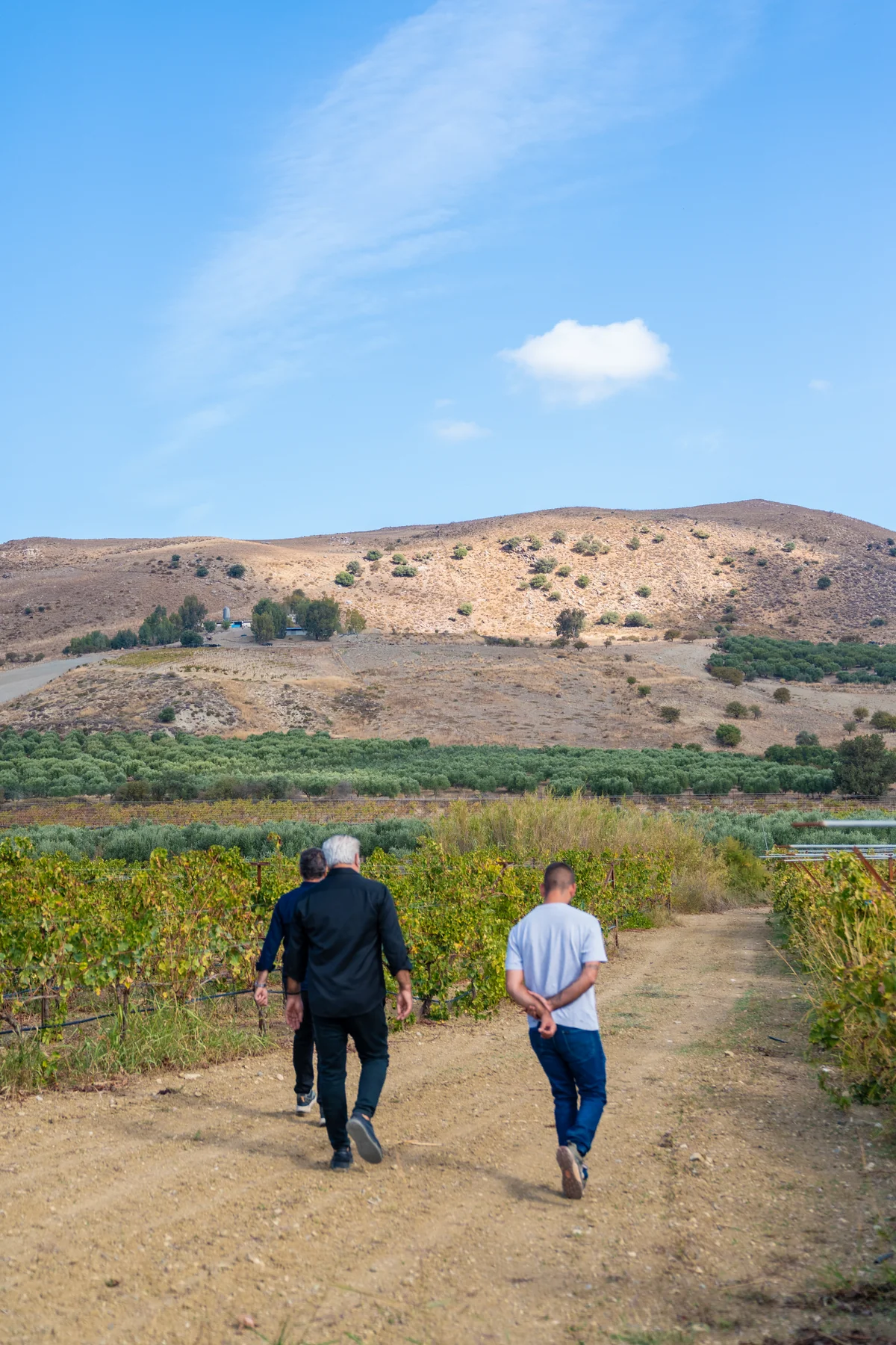 Walking Tours