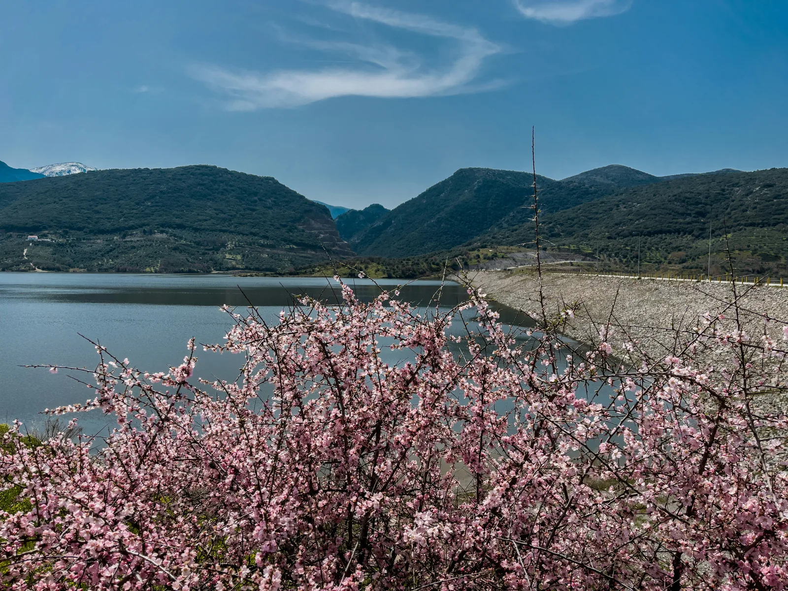 Spring in Crete
