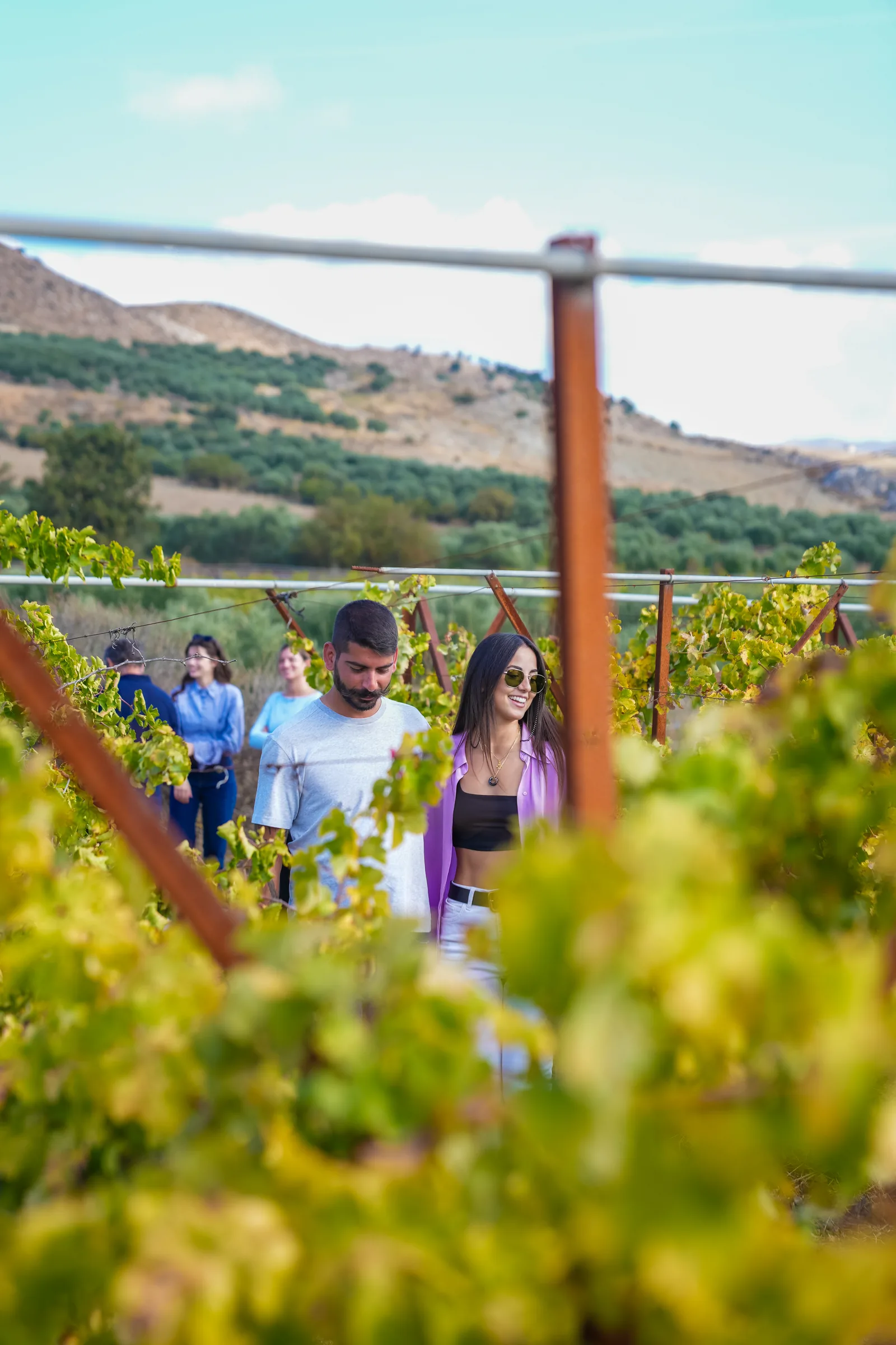 Explore traditional villages and wine country