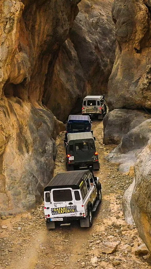 Off-Road into the White Mountains