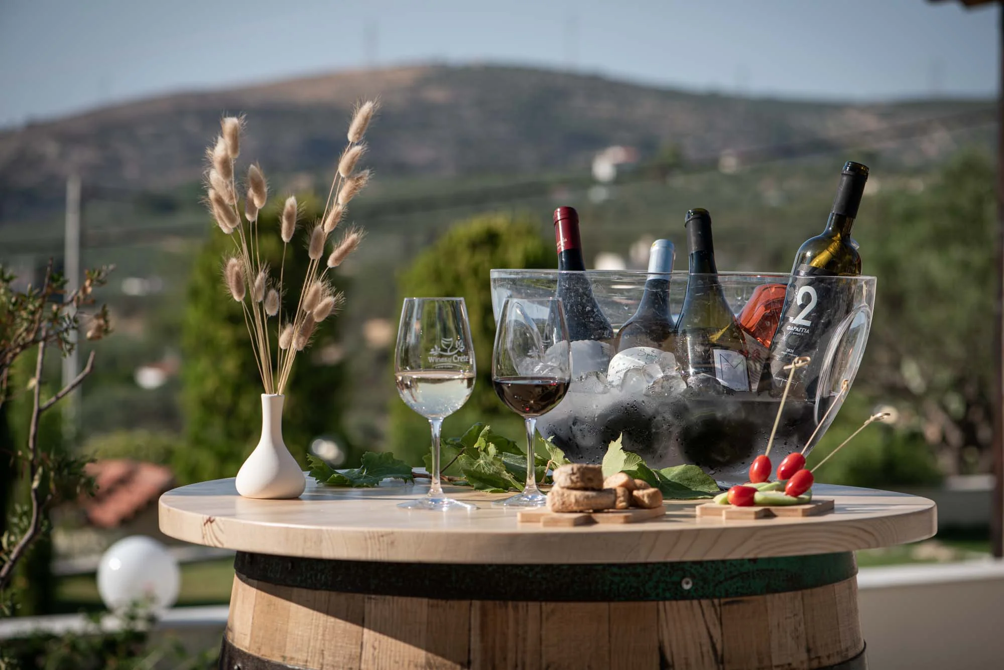 Cretan Wine Soul - Wine Tasting with a view in Heraklion (near Knossos) 