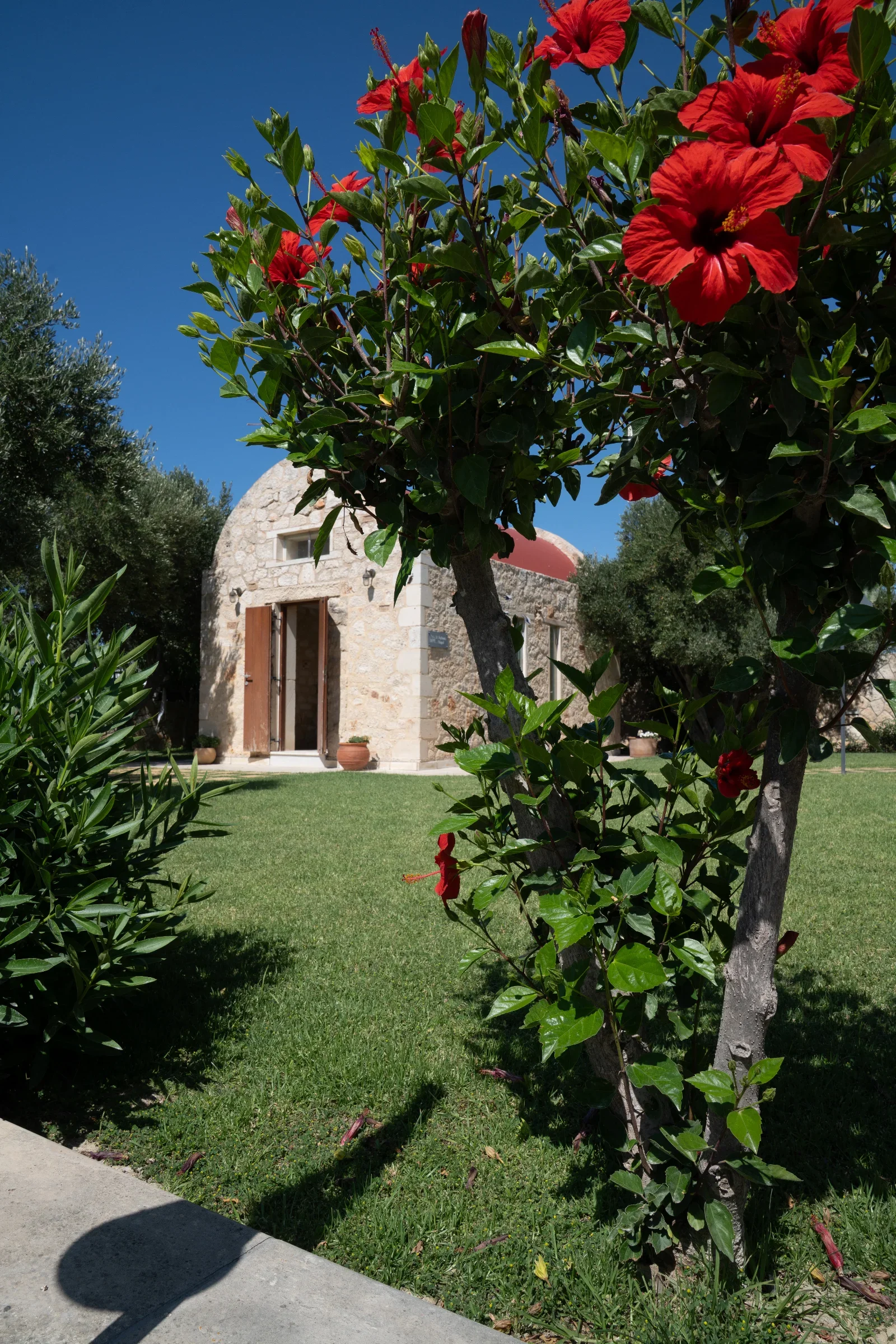 Premium Wine Tasting with 7 Wines in Chania