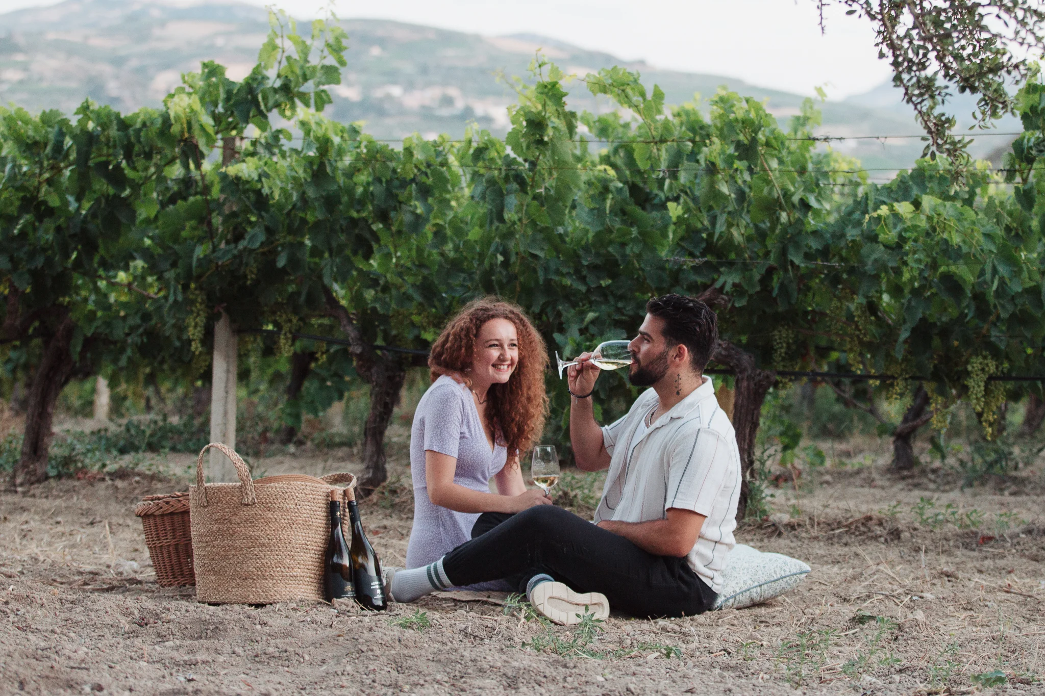 Private Picnic in the Vineyard at Dafnes (near Heraklion) 