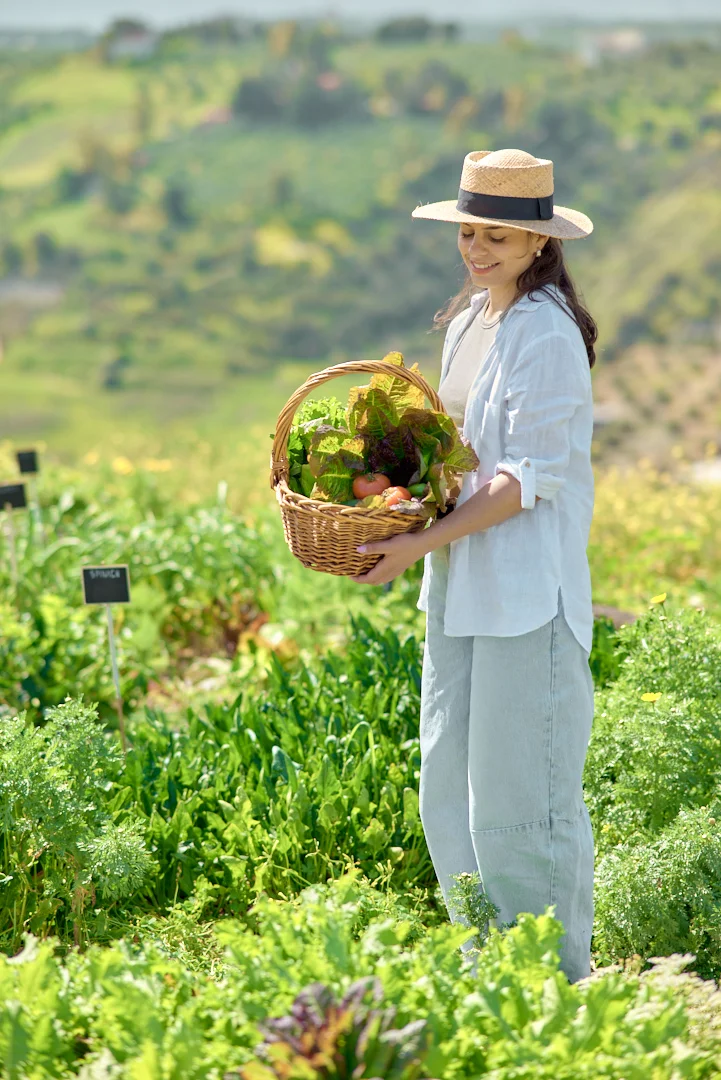 Regenerative Farming Vegetable Tour & Salad Making Experience in Heraklion, Crete
