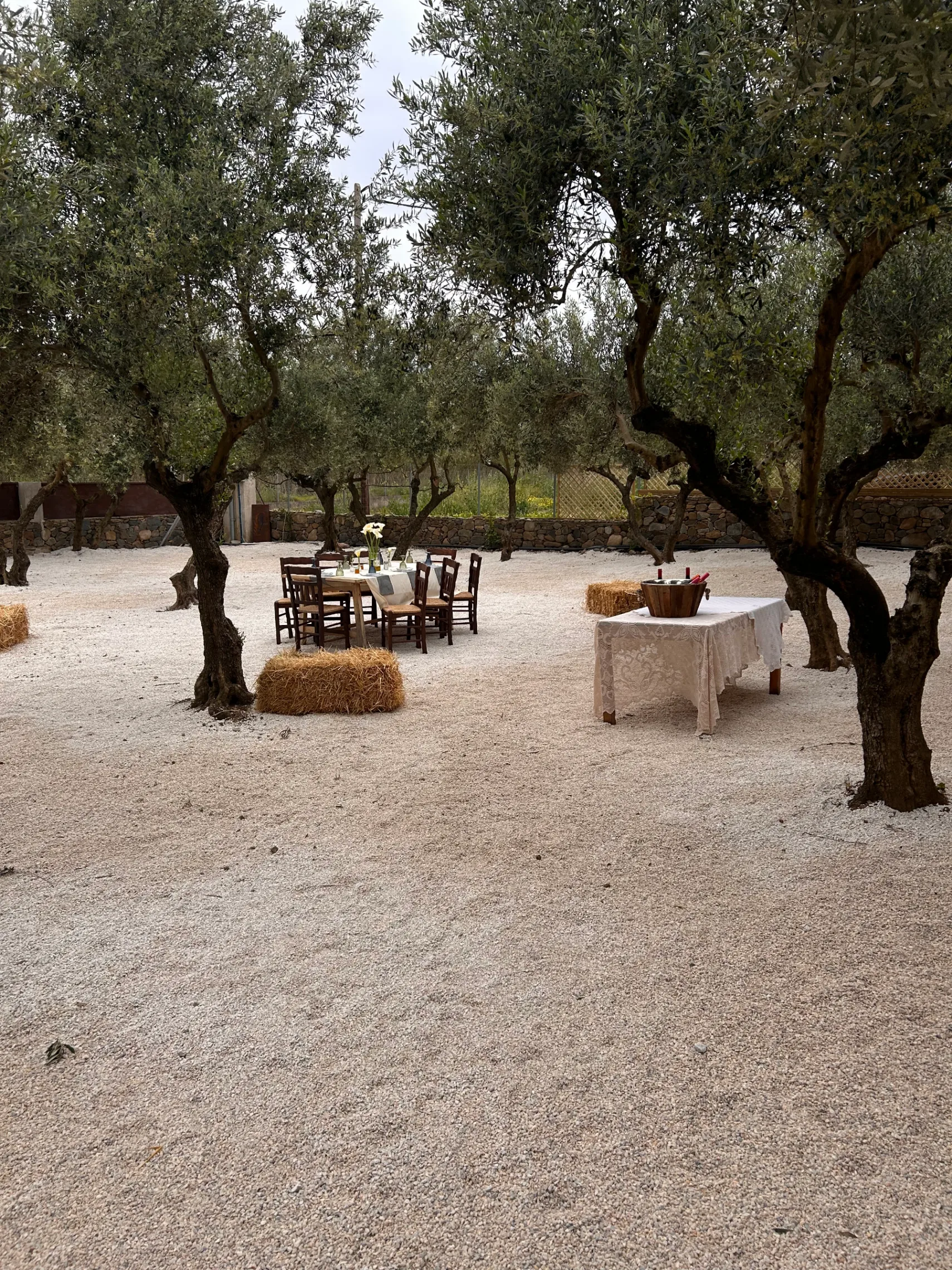 Water Mill Cultural Tour & Tasting of local flavors in Chania, Crete